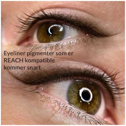 Eyeliner pigmenter – kommer snart som REACH kompatible